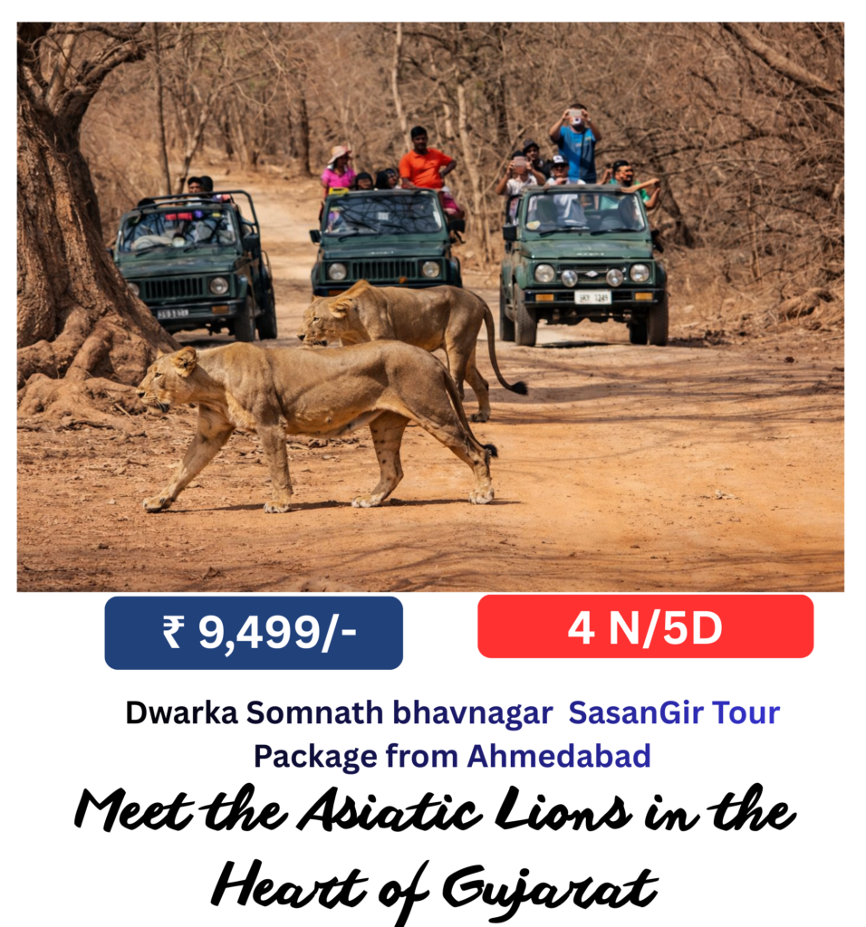 add a heading (42 x 45 cm) (19)