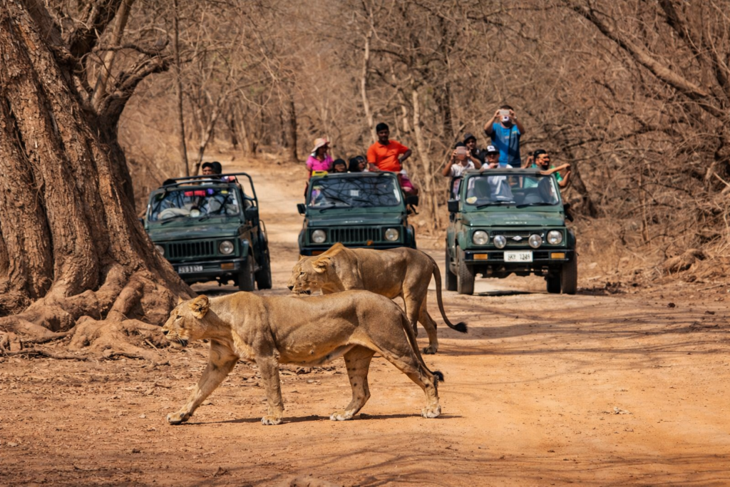 chatgpt image feb 20, 2026, 05 45 32 pm