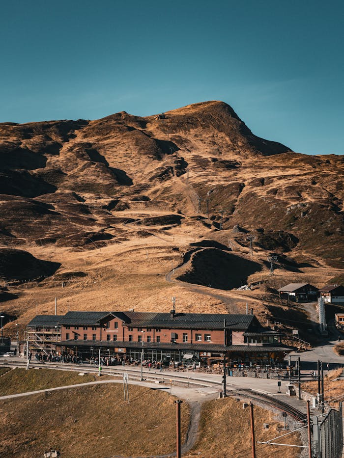 pexels photo 29390730.jpeg