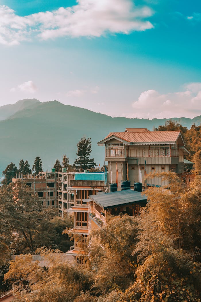 pexels photo 6403810.jpeg