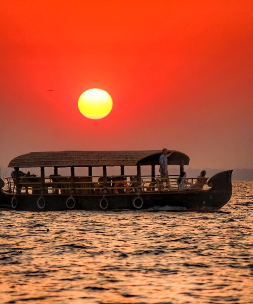 anil-xavier-Tp-kViKErbw-unsplash